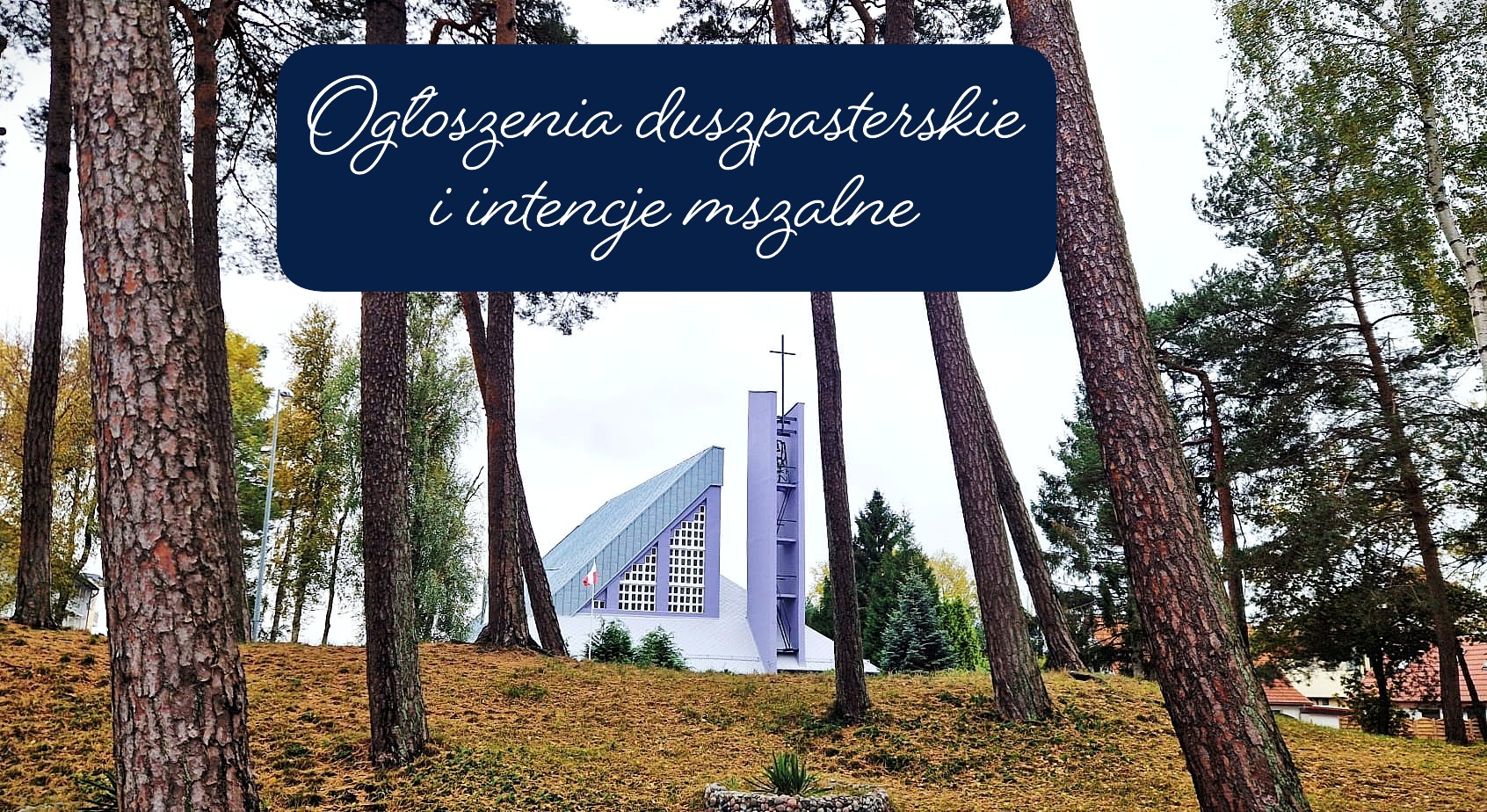 You are currently viewing XXXI niedziela 2.11.2025