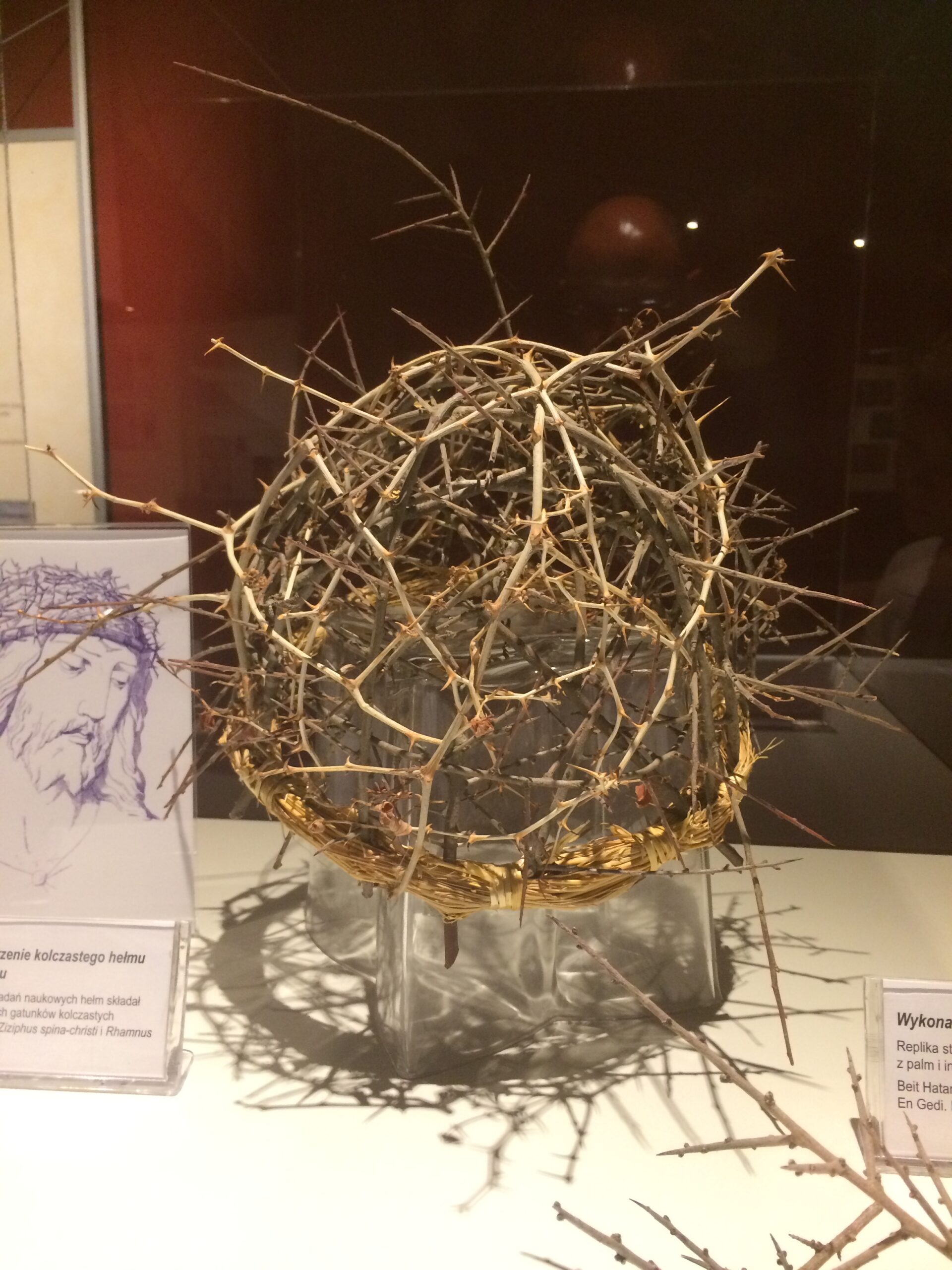 You are currently viewing NIEDZIELA PALMOWA 29.03.2026